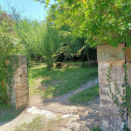 La Colline Aux Oiseaux, La Tranquillite Des Bois Villa Molieres-sur-Ceze Exteriör bild