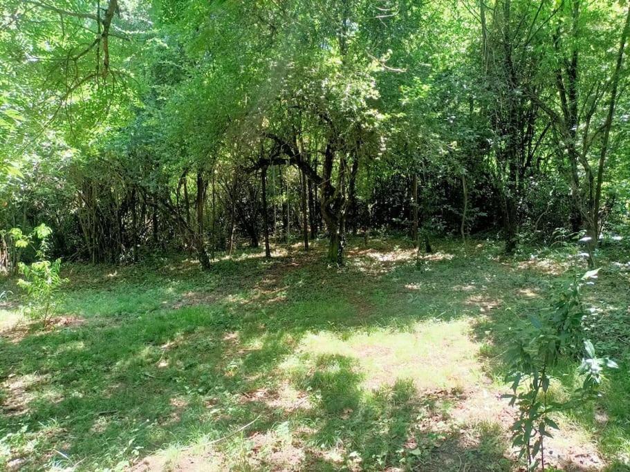 La Colline Aux Oiseaux, La Tranquillite Des Bois Villa Molieres-sur-Ceze Exteriör bild